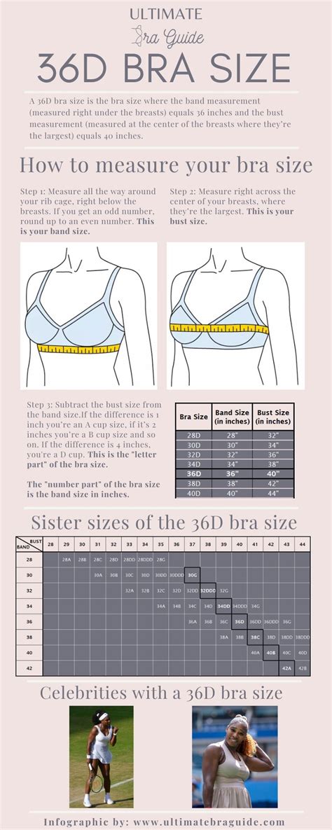 36D Bra Size: What It Is and What 36D Boobs Look Like [2023]